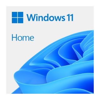 Windows 11