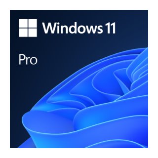 Windows 11 Pro